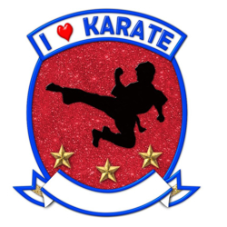 Picture of Karate Boy
